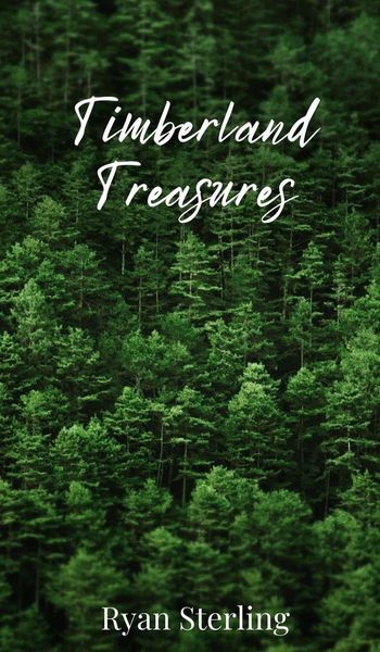 Produktbild: Timberland Treasures