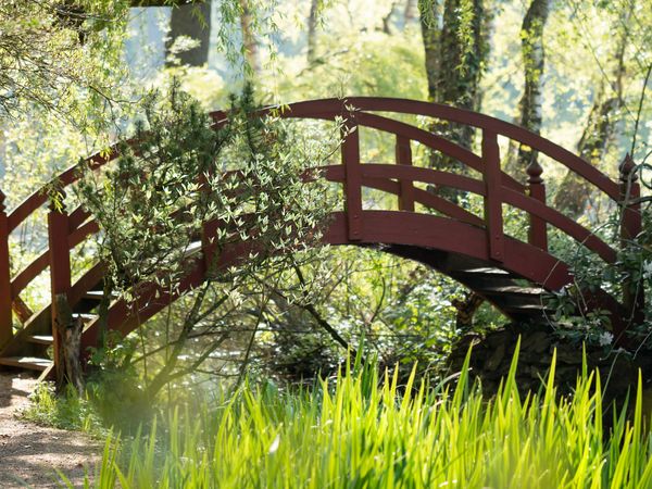 Produktbild: CALVENDO Puzzle Paradiesbr&uuml;cke im Gr&uuml;nen 1000 Teile Lege-Gr&ouml;&szlig;e 64 x 48 cm Foto-Puzzle Bild von Ulrike Adam