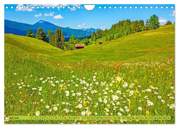 Produktbild: Die Buckelwiesen im Oberen Isartal (Wandkalender 2026 DIN A4 quer), CALVENDO Monatskalender