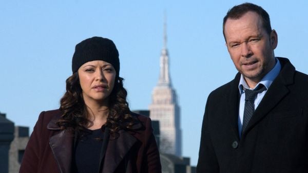 Blue Bloods - Staffel 5  [6 DVDs]