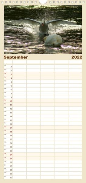 Produktbild: Das faszinierende Leben der Schw&auml;ne - Familienplaner hoch (Wandkalender 2022 , 21 cm x 45 cm, hoch)