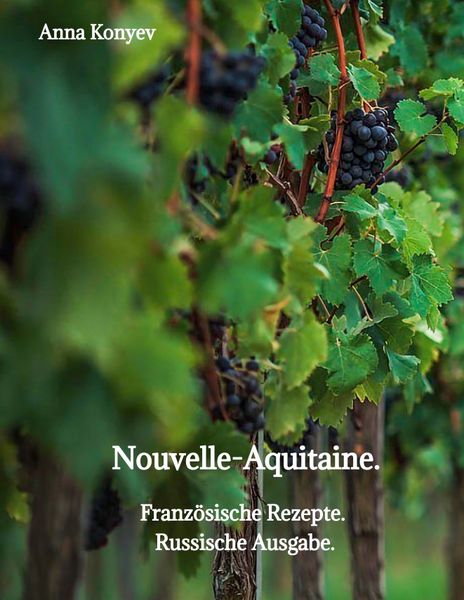 Nouvelle-Aquitaine., Gebundene Ausgabe von Anna Konyev, Tredition, 978-3-384-33910-2