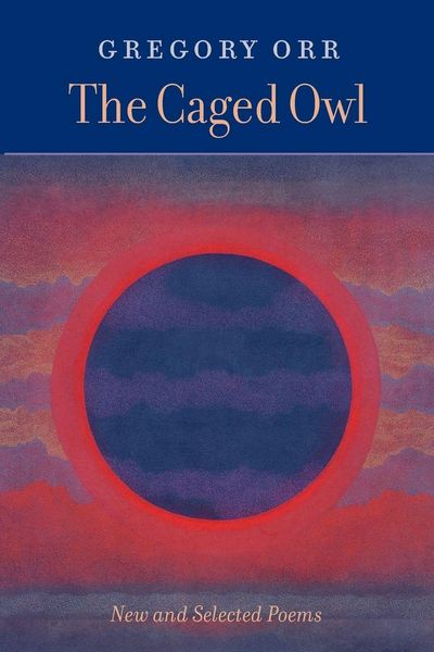 Produktbild: The Caged Owl