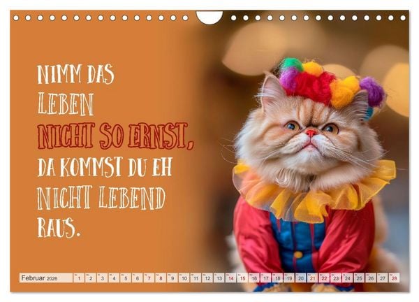 Produktbild: Schnurrige Gl&uuml;ckw&uuml;nsche - Spr&uuml;che zum &Auml;lterwerden (Wandkalender 2026 DIN A4 quer), CALVENDO Monatskalender