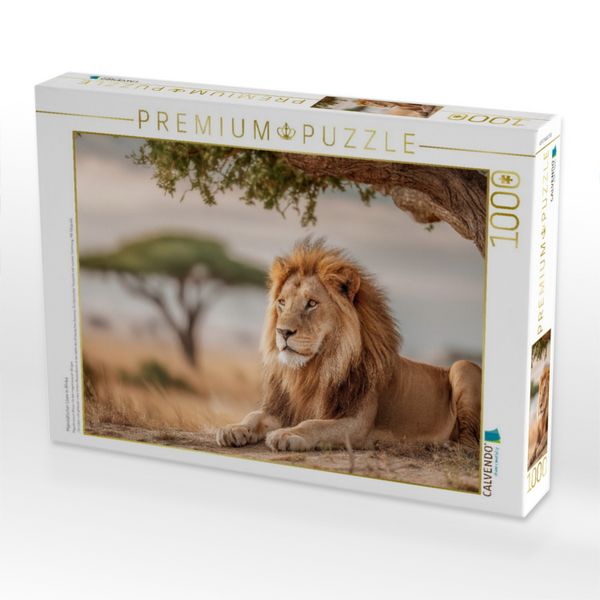 Produktbild: CALVENDO Puzzle Majest&auml;tischer L&ouml;we in Afrika | 1000 Teile Lege-Gr&ouml;&szlig;e 64x48cm Foto-Puzzle f&uuml;r gl&uuml;ckliche Stunden