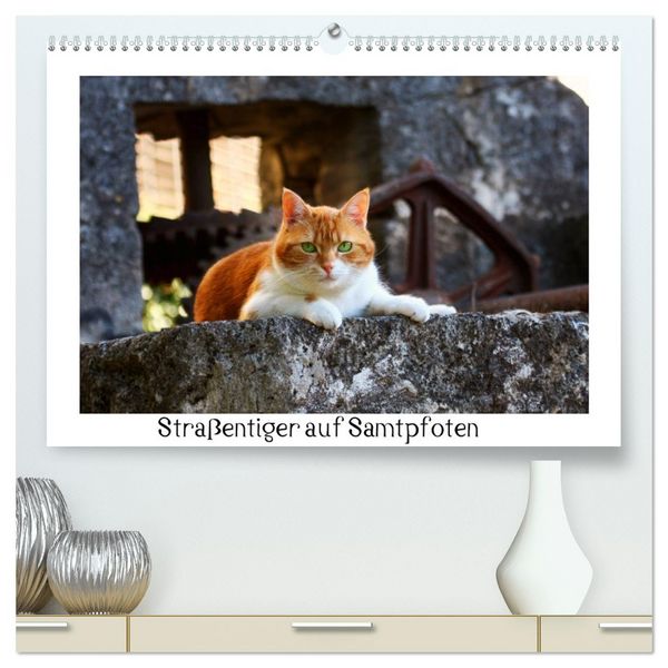 Produktbild: Stra&szlig;entiger auf Samtpfoten (hochwertiger Premium Wandkalender 2026 DIN A2 quer), Kunstdruck in Hochglanz