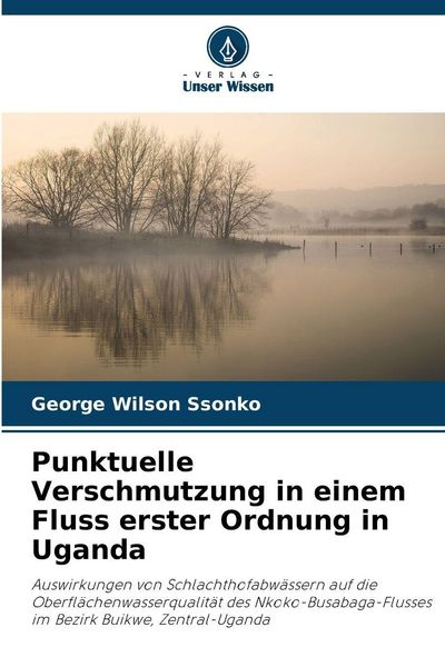 Produktbild: Punktuelle Verschmutzung in einem Fluss erster Ordnung in Uganda