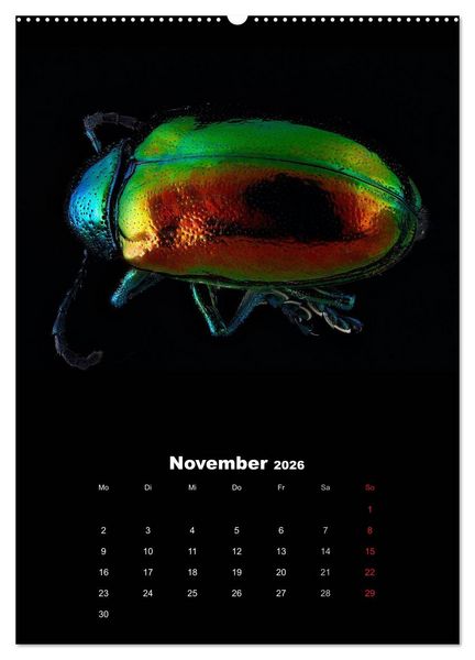 Produktbild: Schillernde Insektenwelt (Wandkalender 2026 DIN A2 hoch), CALVENDO Monatskalender