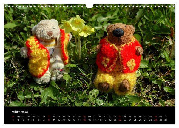 Produktbild: Der B&auml;rchenkalender 2026 (Wandkalender 2026 DIN A3 quer), CALVENDO Monatskalender