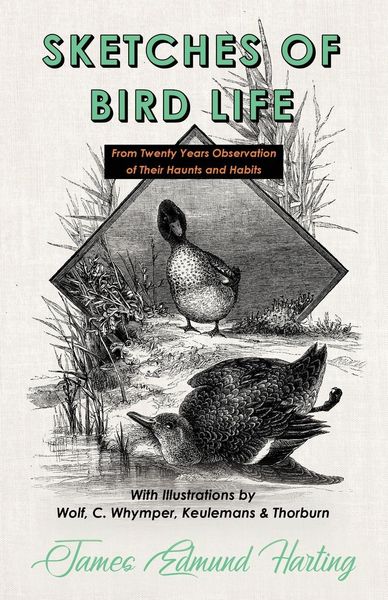 Produktbild: Sketches of Bird Life - From Twenty Years Observation of Their Haunts and Habits - With Illustrations by Wolf, C. Whymper, Keulemans, and Thorburn