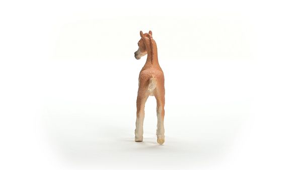 Produktbild: schleich&reg; Horse Club Araber Fohlen 8cm