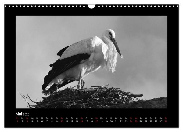 Produktbild: Marokko - Nostalgie in schwarz-weiss (Wandkalender 2026 DIN A3 quer), CALVENDO Monatskalender