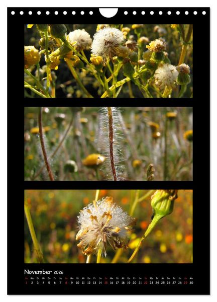 Produktbild: ZAUBERWELT DER BLUMEN - EISKRISTALLE & WASSERPERLEN (Wandkalender 2026 DIN A4 hoch), CALVENDO Monatskalender