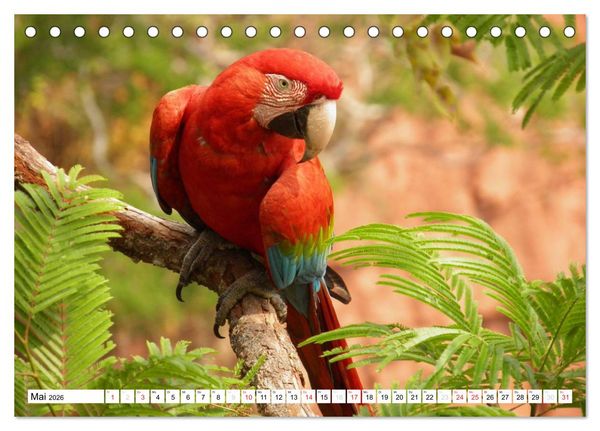 Produktbild: Zeit zum Tr&auml;umen - Panamericana 2026 (Tischkalender 2026 DIN A5 quer), CALVENDO Monatskalender