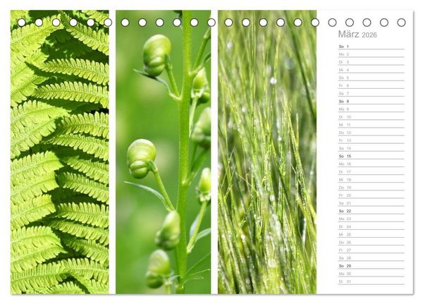 Produktbild: Nat&uuml;rlicher Dreiklang (Tischkalender 2026 DIN A5 quer), CALVENDO Monatskalender