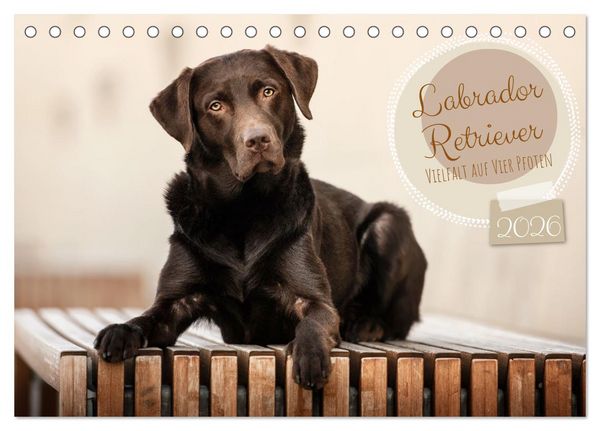 Labrador Retriever - Vielfalt auf Vier Pfoten (Tischkalender 2026 DIN A5 quer), CALVENDO Monatskalender