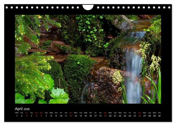Produktbild: The Black Forest - UK Version (Wall Calendar 2026 DIN A4 landscape), CALVENDO 12 Month Wall Calendar