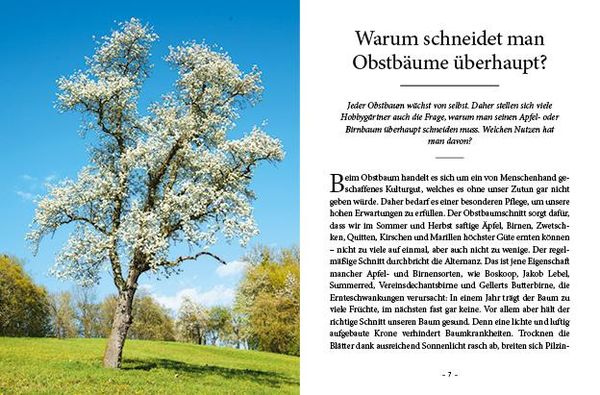 Produktbild: Das große kleine Buch: Obstbaumschnitt