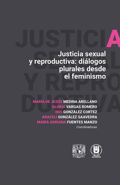 Produktbild: Justicia sexual y reproductiva: Di&aacute;logos plurales desde el feminismo
