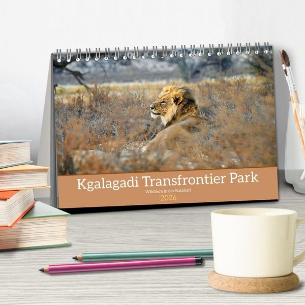 Produktbild: Kgalagadi - Fauna und Wildtiere in der Kalahari (Tischkalender 2026 DIN A5 quer), CALVENDO Monatskalender