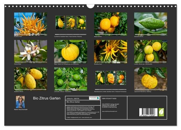 Produktbild: Bio Zitrus Garten (Wandkalender 2026 DIN A3 quer), CALVENDO Monatskalender