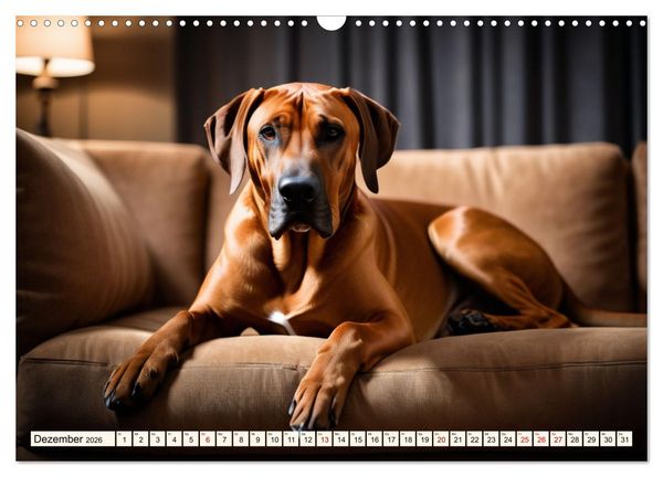 Produktbild: Rhodesian Ridgeback - Athlet mit R&uuml;ckenkamm (Wandkalender 2026 DIN A3 quer), CALVENDO Monatskalender