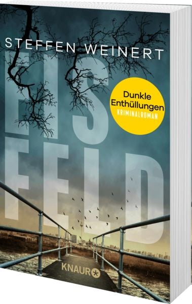 Produktbild: Eisfeld &ndash; Dunkle Enth&uuml;llungen