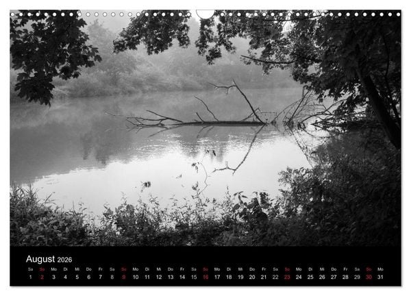 Produktbild: B&auml;ume trees 2026 (Wandkalender 2026 DIN A3 quer), CALVENDO Monatskalender