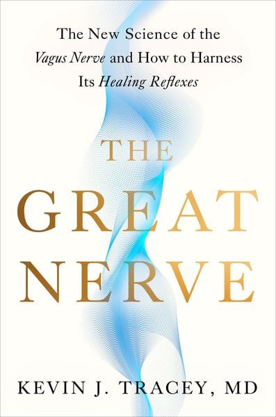 Produktbild: The Great Nerve