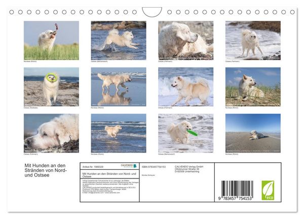 Produktbild: Mit Hunden an den Str&auml;nden von Nord- und Ostsee (Wandkalender 2026 DIN A4 quer), CALVENDO Monatskalender