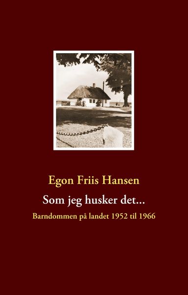 Produktbild: Victoriatiden og de victorianske romanforfattere
