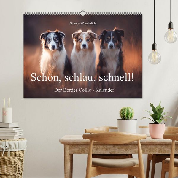 Produktbild: Sch&ouml;n, schlau, schnell! - Der Border Collie - Kalender (Wandkalender 2026 DIN A2 quer), CALVENDO Monatskalender