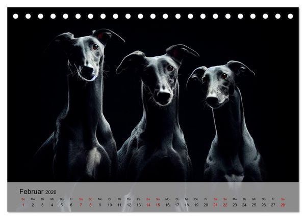 Produktbild: Black is beautiful (Tischkalender 2026 DIN A5 quer), CALVENDO Monatskalender