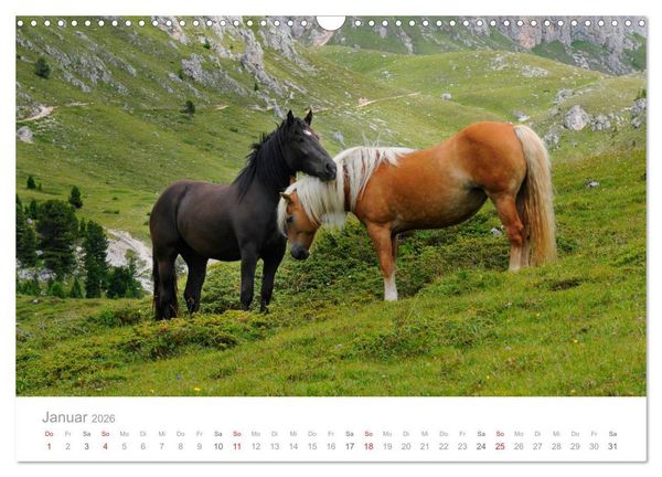 Produktbild: Pferde - Hobby und Leidenschaft (Wandkalender 2026 DIN A3 quer), CALVENDO Monatskalender
