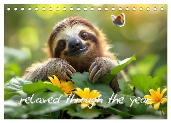 sweet sloths - relaxed throughout the year (Desk Calendar 2026 DIN A5 landscape), CALVENDO 12 Month DeskCalendar