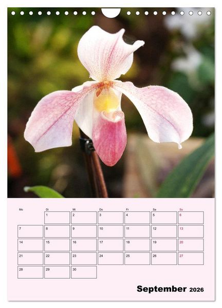 Produktbild: Orchideenliebe (Wandkalender 2026 DIN A4 hoch), CALVENDO Monatskalender
