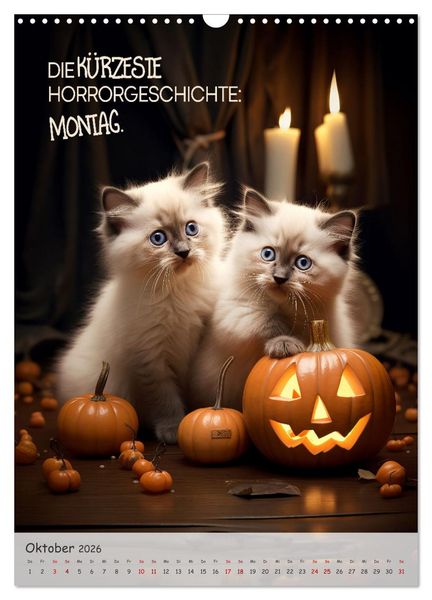 Produktbild: COOLE KATZEN Spr&uuml;cheklopfer (Wandkalender 2026 DIN A3 hoch), CALVENDO Monatskalender