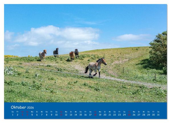 Produktbild: Besuch auf Hiddensee (hochwertiger Premium Wandkalender 2026 DIN A2 quer), Kunstdruck in Hochglanz