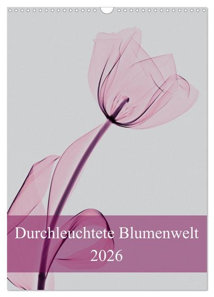 Produktbild: Durchleuchtete Blumenwelt 2026 (Wandkalender 2026 DIN A3 hoch), CALVENDO Monatskalender