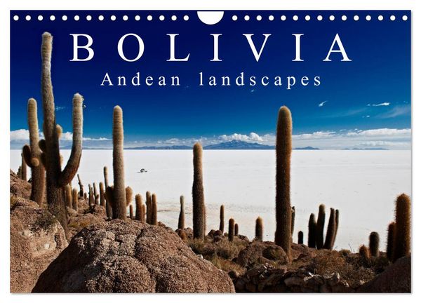 Produktbild: Bolivia Andean landscapes / UK-Version (Wall Calendar 2026 DIN A4 landscape), CALVENDO 12 Month Wall Calendar