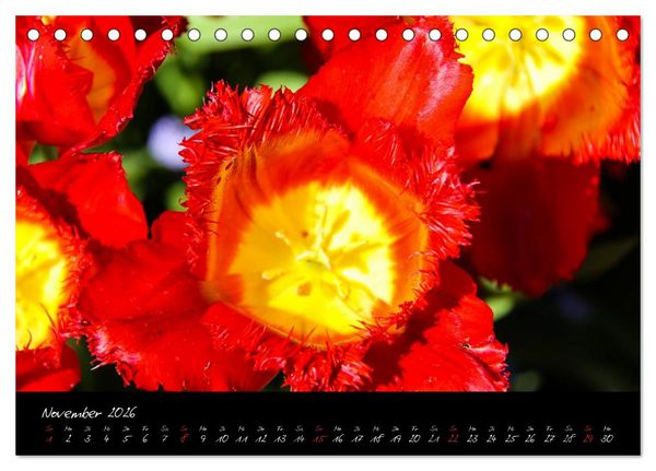 Produktbild: Butchart Gardens 2026 (Tischkalender 2026 DIN A5 quer), CALVENDO Monatskalender