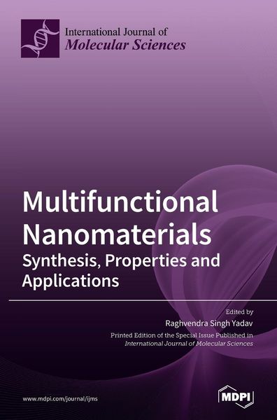 Produktbild: Multifunctional Nanomaterials