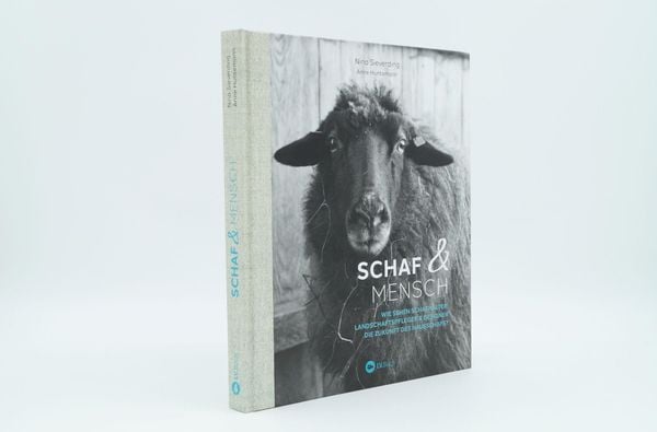 Produktbild: Schaf und Mensch