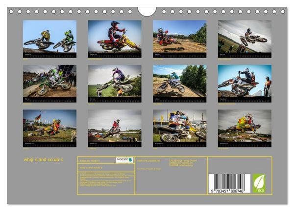 Produktbild: whip`s and scrub`s (Wandkalender 2026 DIN A4 quer), CALVENDO Monatskalender