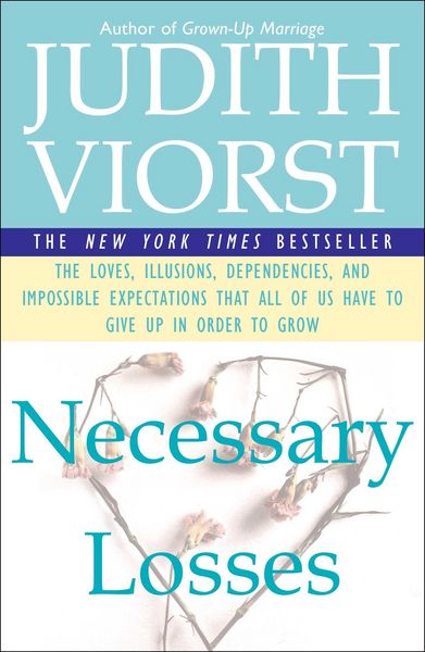 Produktbild: Necessary Losses