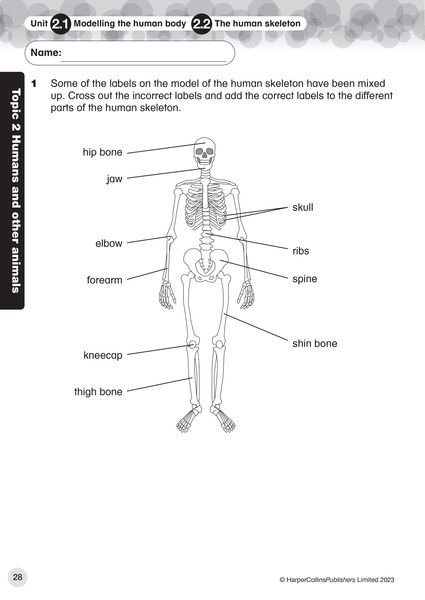 Produktbild: Collins International Primary Science