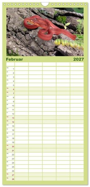 Produktbild: Familienplaner 2027 - Schlangen mit 5 Spalten (Wandkalender, 21 x 45 cm) CALVENDO