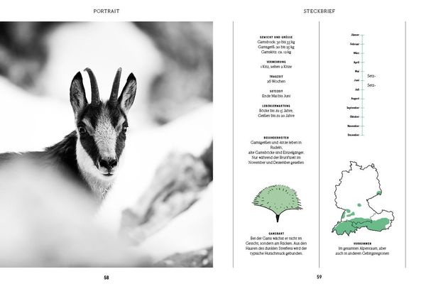 Produktbild: Unser Wild