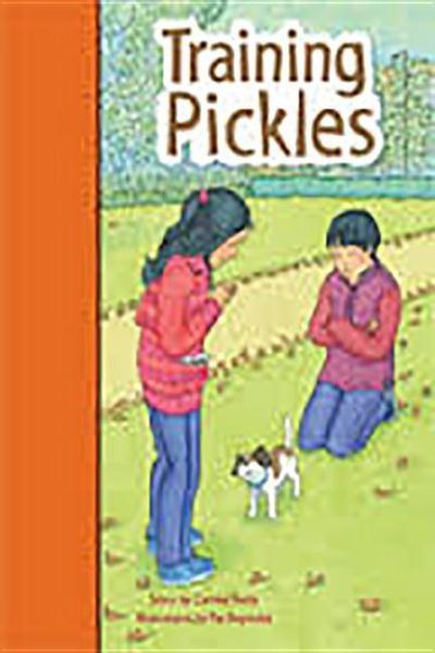 Produktbild: Rigby PM Stars Bridge Books: Leveled Reader Bookroom Package Orange Training Pickles