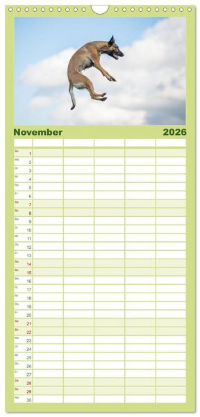 Produktbild: Familienplaner 2026 - Belgischer Sch&auml;ferhund - Der Malinois in Action mit 5 Spalten (Wandkalender, 21 x 45 cm) CALVENDO